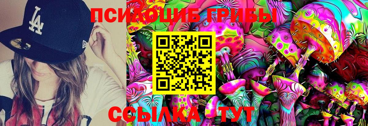 Воронеж  купить наркоту  Вход с VPN  Псилоцибиновые грибы MAGIC MUSHROOMS 